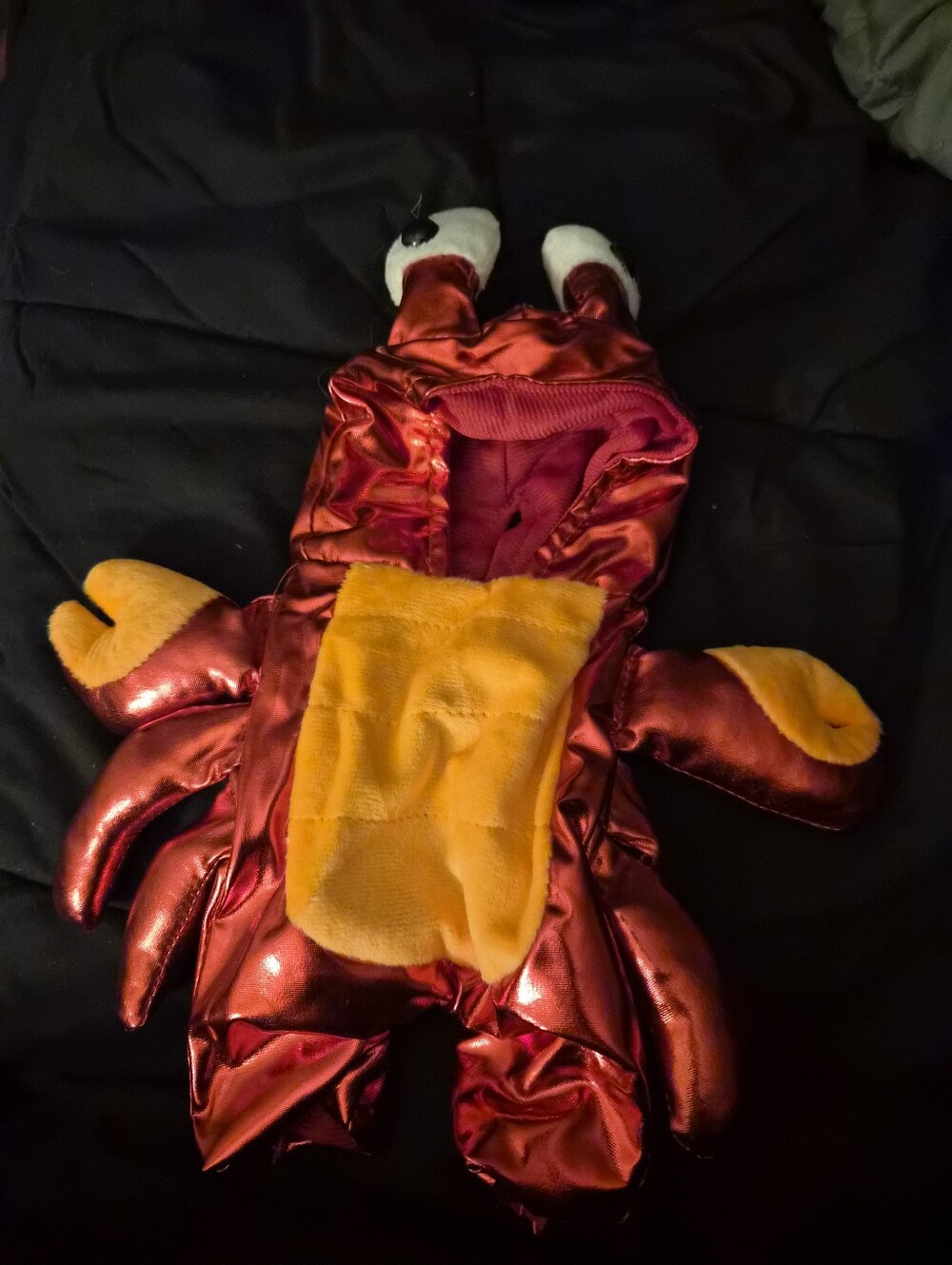 Cat And Dog Crab Costume
